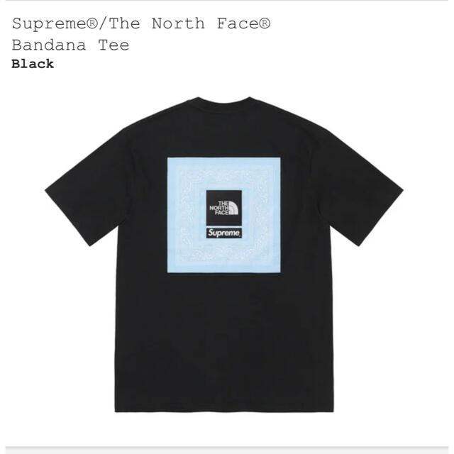 Supreme The North Face bandana tee m 黒メンズ