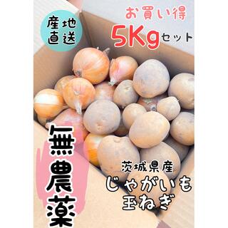 ⭐︎お買い得5kgセット【無農薬】玉ねぎ＋じゃがいも⭐︎(野菜)