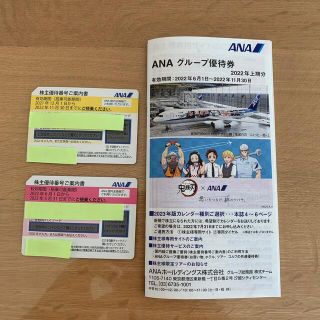 エーエヌエー(ゼンニッポンクウユ)(ANA(全日本空輸))のANA株主優待券(その他)