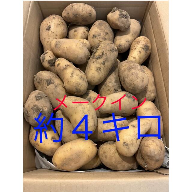 新じゃが　メークイン　4キロ 食品/飲料/酒の食品(野菜)の商品写真