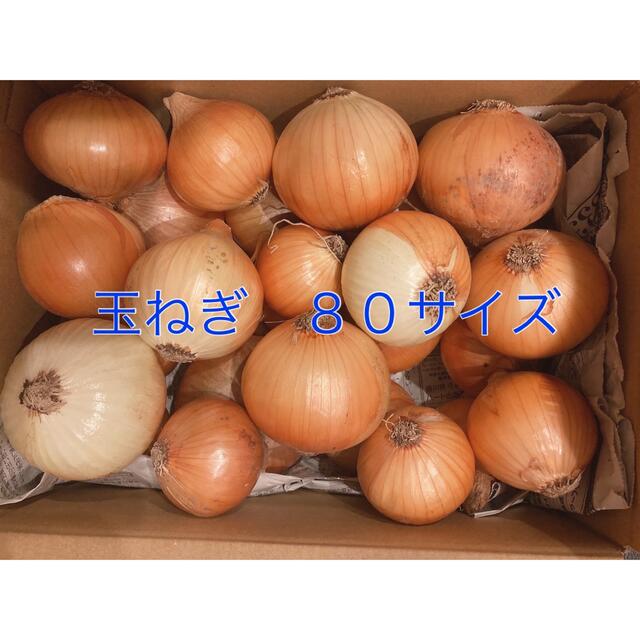 玉ねぎ　ケル玉　８０サイズ 食品/飲料/酒の食品(野菜)の商品写真