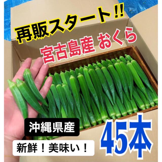 宮古島産　おくら　オクラ 食品/飲料/酒の食品(野菜)の商品写真