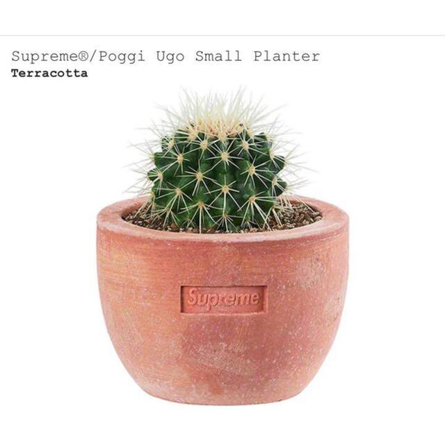 Supreme / Poggi Ugo Small Planter "Terra