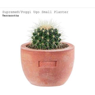 シュプリーム(Supreme)のSupreme / Poggi Ugo Small Planter "Terra(プランター)