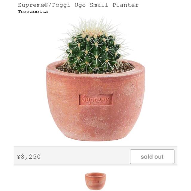 Supreme Poggi Ugo Planter - プランター