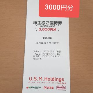 イオン(AEON)のユナイテッドスーパーマーケット優待券3000円分(ショッピング)