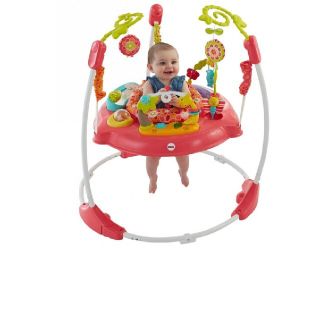 フィッシャープライス(Fisher-Price)の☆美品☆希少☆ジャンパルー・ピンクフラワー(ベビージム)