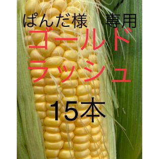 ゴールドラッシュ　とうもろこし　15本　パンダ様専用(野菜)