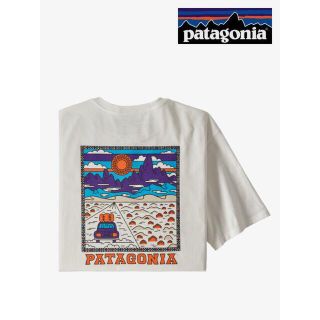 パタゴニア(patagonia)のpatagonia Tシャツ M M's Summit Road ホワイト(Tシャツ/カットソー(半袖/袖なし))