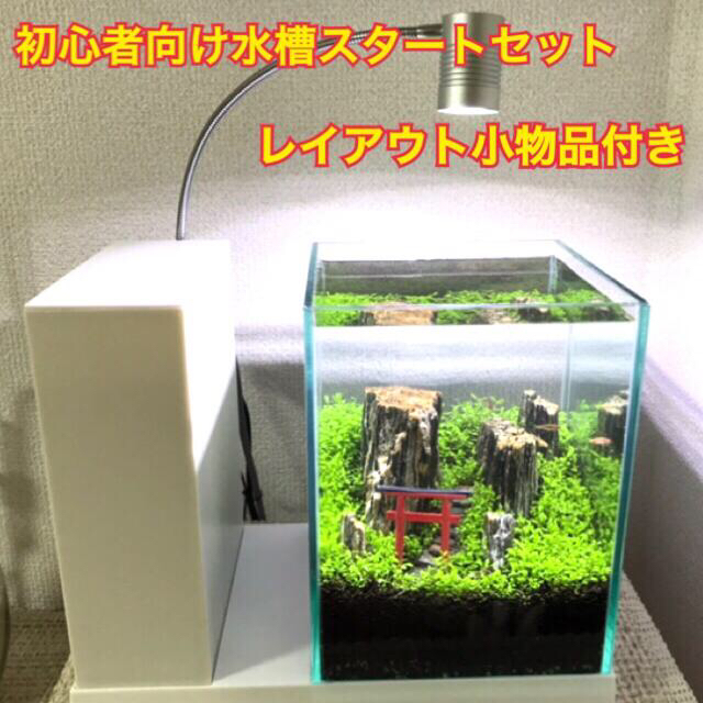 アクアリウム鳥居のある山岳風 初心者向けアクアリウム水槽セット【AQUA-U】