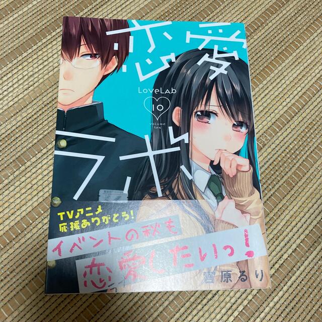 恋愛ラボ １０ エンタメ/ホビーの漫画(青年漫画)の商品写真