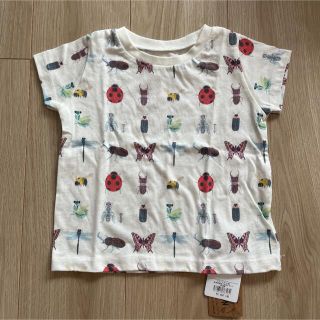 インセクトコレクション 半袖Tシャツ Sサイズ（85cm）(Ｔシャツ)