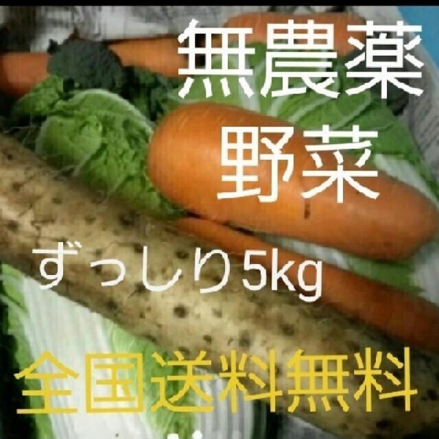 無農薬野菜　詰め合わせセット 食品/飲料/酒の食品(野菜)の商品写真