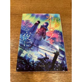 君がオーロラを見る夜に(文学/小説)