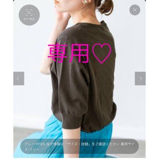 イエナ(IENA)の✴︎専用✴︎IENA コットン麻クルーネックプルオーバー ◆グレー(カットソー(半袖/袖なし))