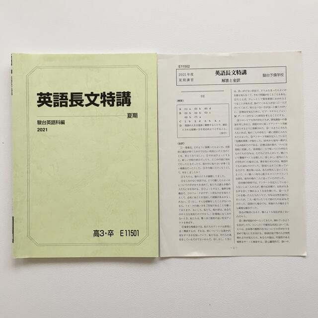 VC12-114 駿台 英語 語法と読解(夏に架ける橋) テキスト 2020 夏期 大島保彦 10m0D