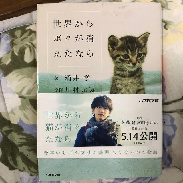 世界からボクが消えたなら 映画「世界から猫が消えたなら」キャベツの物語