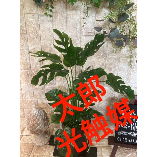 光触媒　人工観葉植物　ウォールグリーン　フェイク　フラワー　pモンステラ