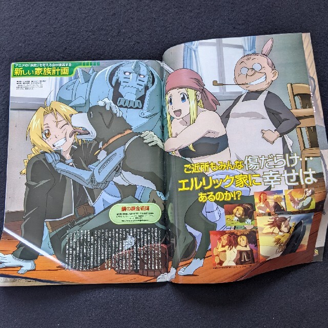 アニメディア　2004年6月号　犬夜叉　名探偵コナン　ワンピース　NARUTO エンタメ/ホビーの雑誌(アニメ)の商品写真