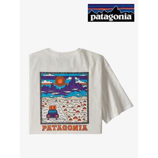 パタゴニア(patagonia)のpatagonia Tシャツ M's Summit Road ホワイト S(Tシャツ/カットソー(半袖/袖なし))