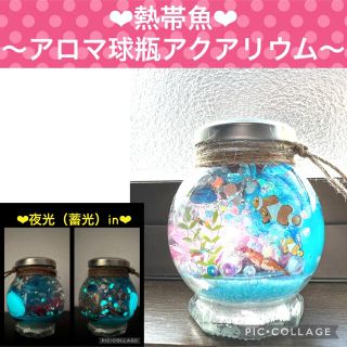 【熱帯魚】〜❄︎アロマ球瓶❄︎〜❤︎蓄光アクアリウム❤︎Blue砂in(プリザーブドフラワー)