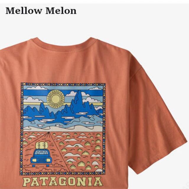 patagonia Tシャツ M's Summit Road メローメロン S