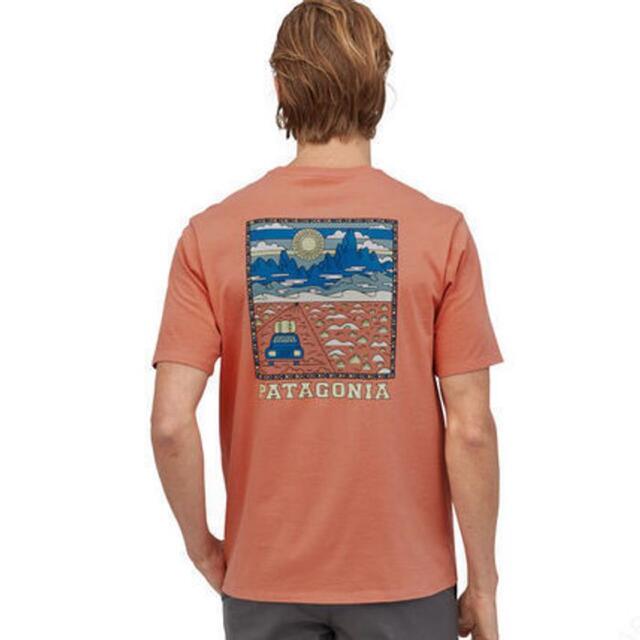 patagonia(パタゴニア)のpatagonia Tシャツ M's Summit Road メローメロン L メンズのトップス(Tシャツ/カットソー(半袖/袖なし))の商品写真