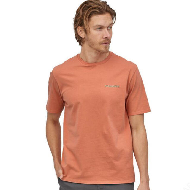 patagonia Tシャツ M's Summit Road メローメロン L