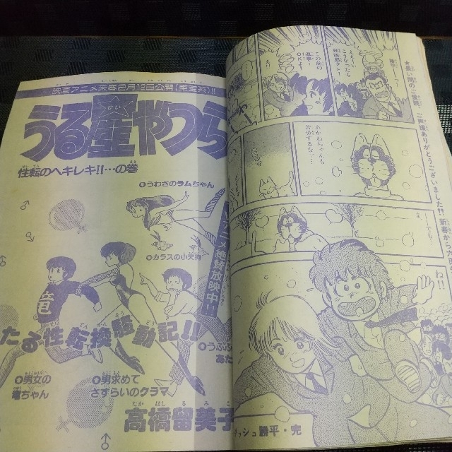 小学館 - 週刊少年サンデー 1982年48号 ※こちゃんと礼新連載 ※ダッシュ