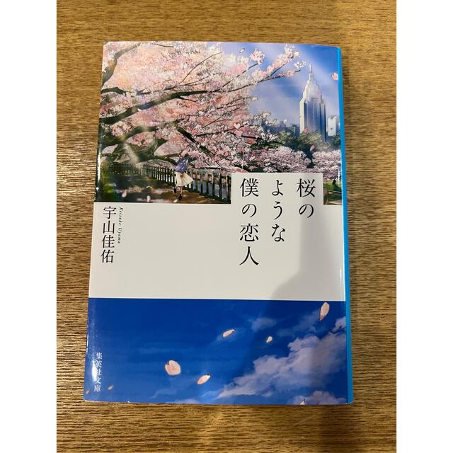 桜のような僕の恋人 エンタメ/ホビーの本(その他)の商品写真
