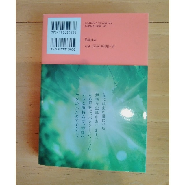 【値下げ】★あの世のひみつ★ ☆美鈴著【美品】☆帯付き ☆送料込 エンタメ/ホビーの本(ノンフィクション/教養)の商品写真