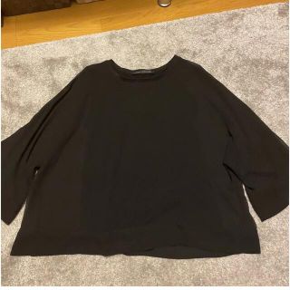 ザラ(ZARA)のZARA woman シースルートップス(シャツ/ブラウス(長袖/七分))