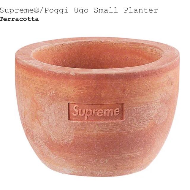 Supreme®/Poggi Ugo Small Planter - プランター