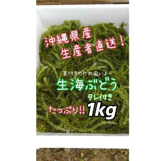 沖縄県産 海ぶどう 茎付き1000ｇ“ 商品の説明⚠️必読⚠️(魚介)