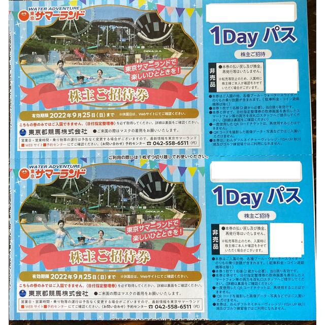 東京サマーランド  1DAYパス  5枚