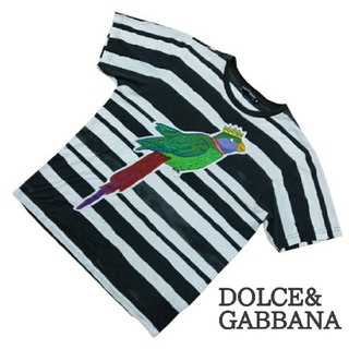 ドルチェアンドガッバーナ(DOLCE&GABBANA)の【希少】DOLCE&GABBANA　ドルチェ&ガッバーナ　ボーダーTシャツ(シャツ)