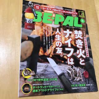 ショウガクカン(小学館)のBE-PAL  ビーパル　2017年1月号  (趣味/スポーツ)