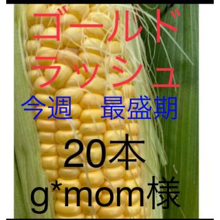 ゴールドラッシュ　20 専用　(野菜)