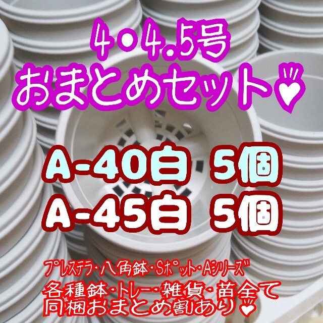 プラ鉢10個おまとめセット♪【4号・4.5号鉢 各5個】プレステラ多肉 ハンドメイドのフラワー/ガーデン(プランター)の商品写真