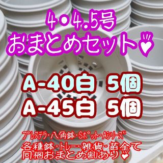 プラ鉢10個おまとめセット♪【4号・4.5号鉢 各5個】プレステラ多肉(プランター)