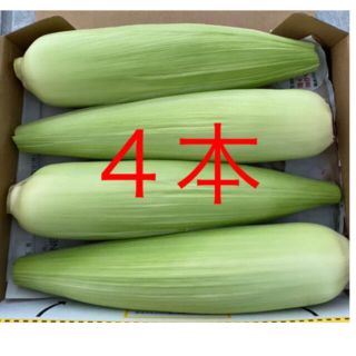 とうもろこし(野菜)