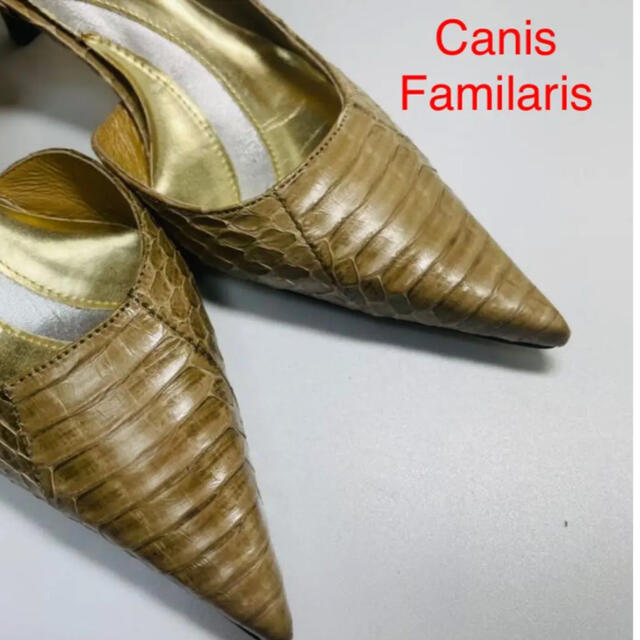 カニスファミリアス　ポイントトゥパンプス　パイソン柄 22 レディースの靴/シューズ(ハイヒール/パンプス)の商品写真