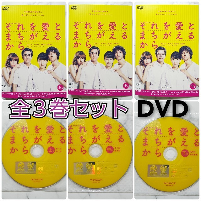 稲森いずみ ★鈴木浩介『それを愛とまちがえるから』レンタル落ちDVD★全巻