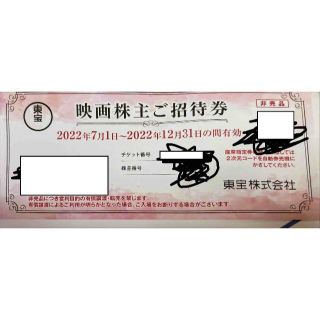 東宝1枚　期限2022/12/31　株主優待券　ミニレター発送(その他)
