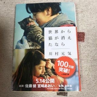 世界から猫が消えたなら(その他)