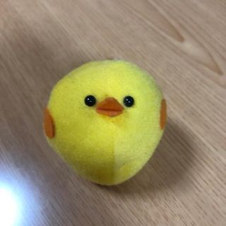 鳥(その他)