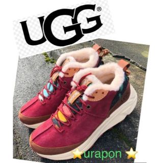 アグ(UGG)の完売しました。。。。。。。。。。UGG✨MIWO TRAINER✨25.5～26(スニーカー)