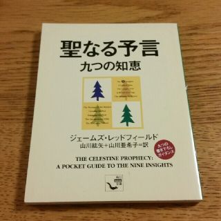 聖なる予言 九つの知恵(文学/小説)