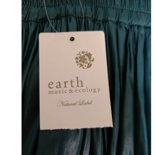 earth music & ecology(アースミュージックアンドエコロジー)のearth music&ecologyプリーツスカート レディースのスカート(ロングスカート)の商品写真