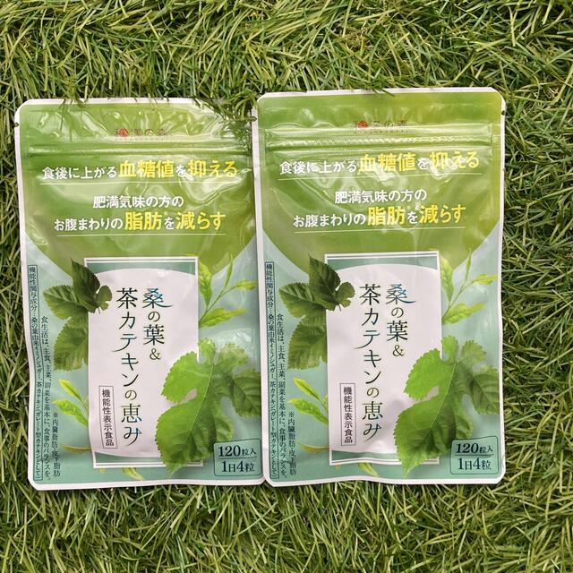 和漢の森 桑の葉 茶カテキンの恵み×2袋セット